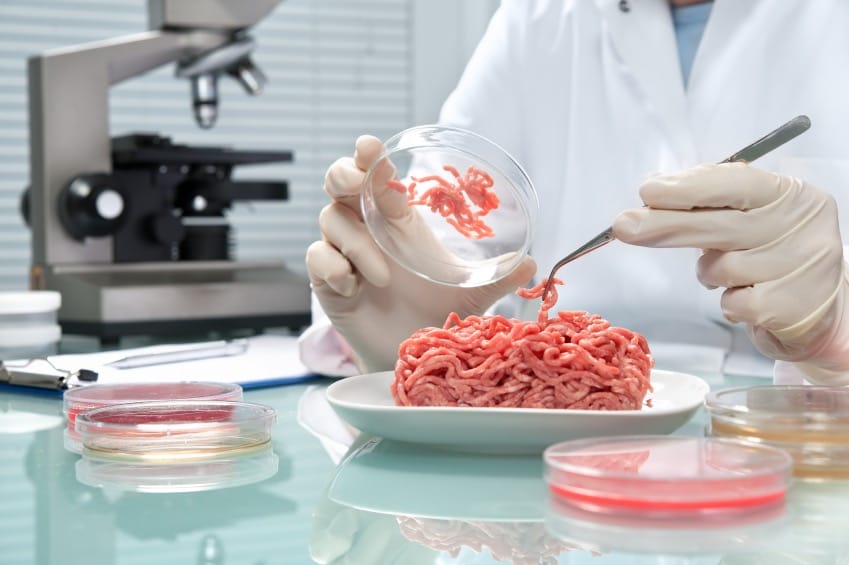 Pentagon Proposes Lab-Grown Meat for Troops to Reduce CO2 Footprint Amid Health Concerns